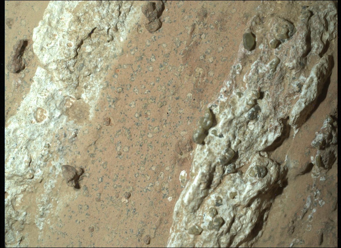 Conceptual Image of Cheyava Falls Rock Sample with Leopard Spots