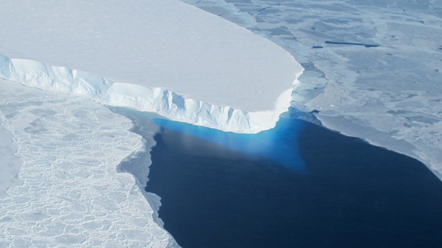 An ice glacier protrudes into water.