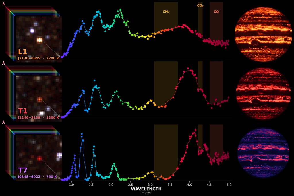 An infographic comparing spectra of three brown dwarfs. Plots show wavelength versus brightness with colored data points. Accompanying inset images show the objects in space, and simulated globes represent their atmospheric appearances.