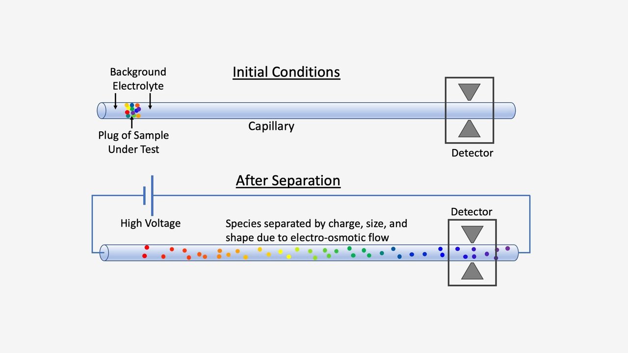 Organic Capillary Electrophoresis Analysis System