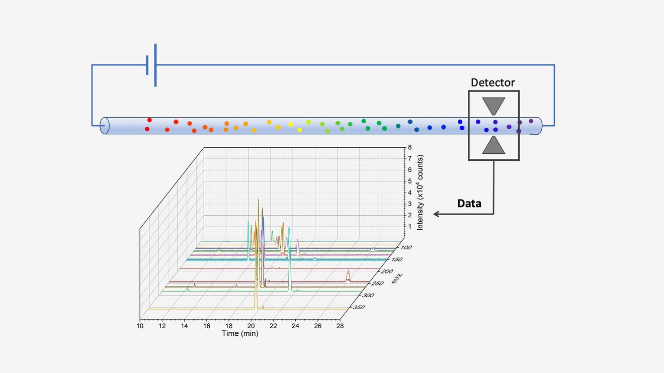 Organic Capillary Electrophoresis Analysis System