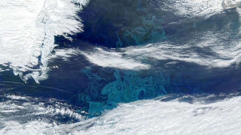 e1-Phytoplankton-PACE-1600