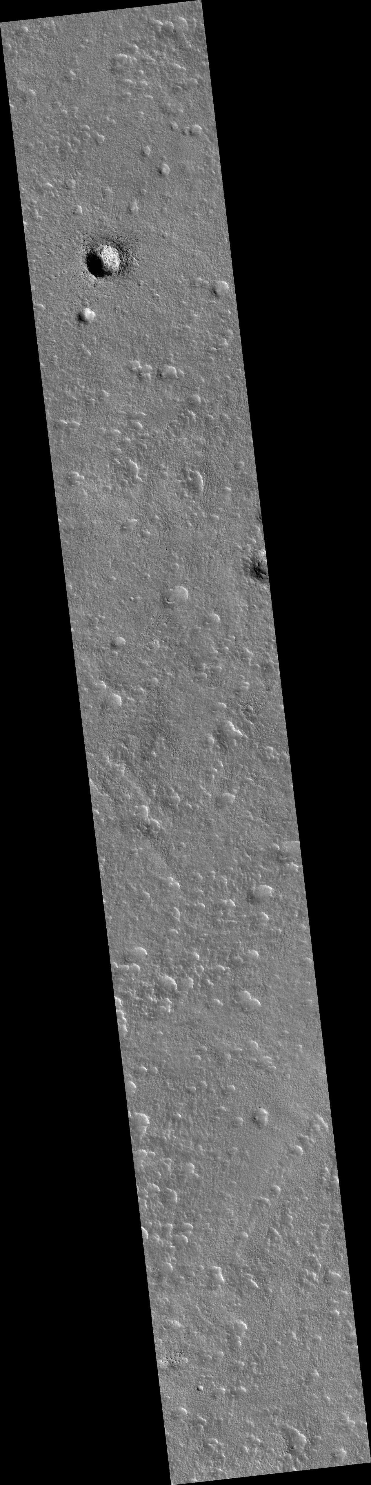 Two Young Craters
