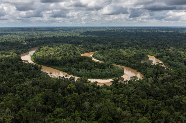 Amazon rainforest