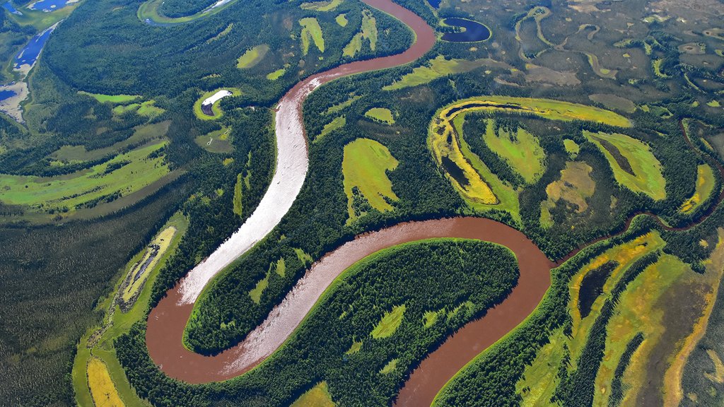 Aerial view of river winding through forested landscape