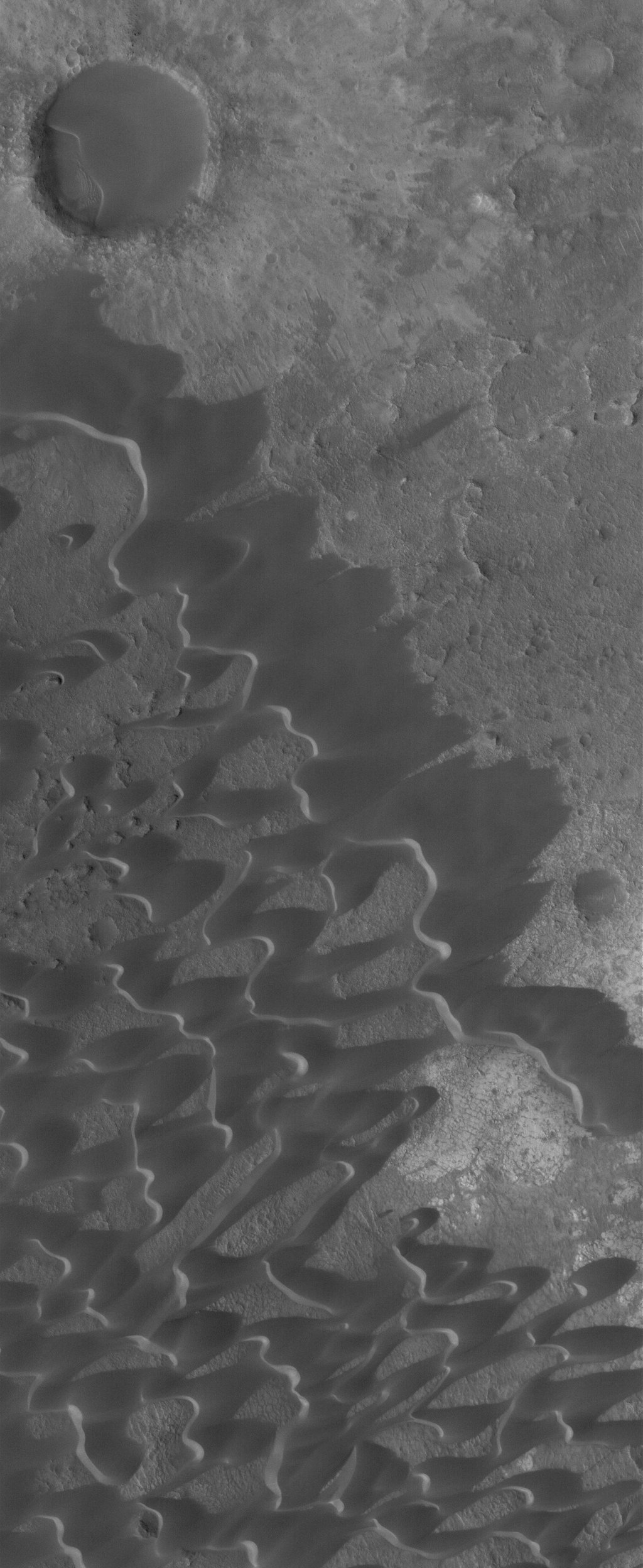 NASA's Mars Global Surveyor shows dark, windblown sand dunes in the caldera of Nili Patera, a volcanic crater in Syrtis Major on Mars.