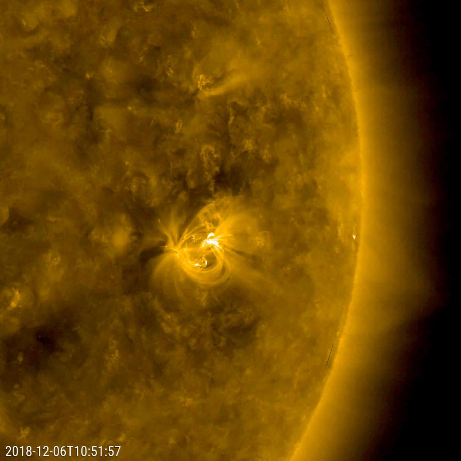 Solar Active Region's Cameo Appearance