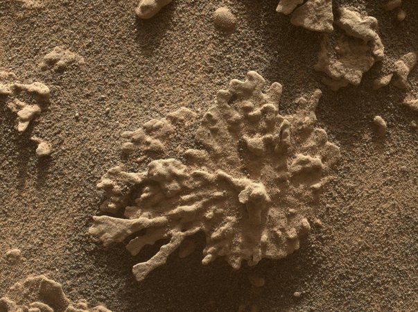 Curiosity Views a Martian Rock Shaped Like Coral