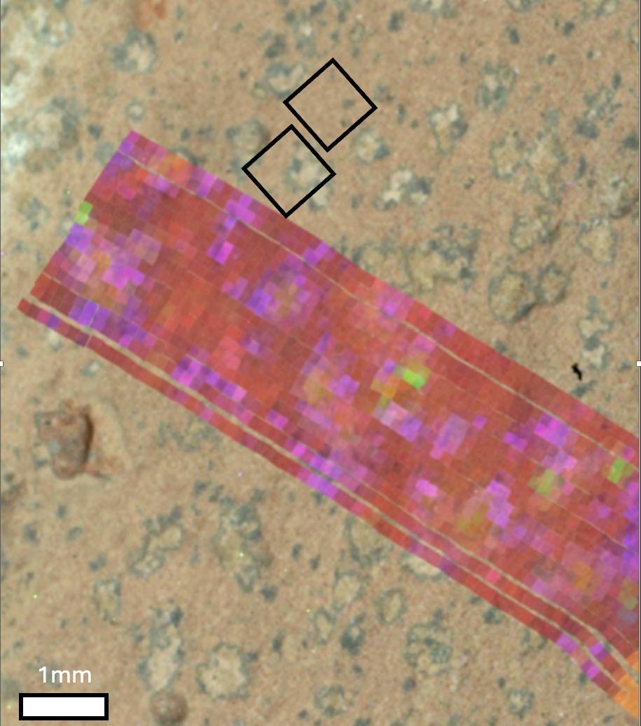 NASAs Perseverance Mars rover generated this mineral map showing the presence of two minerals on the surface of a rock nicknamed Cheyava Falls.