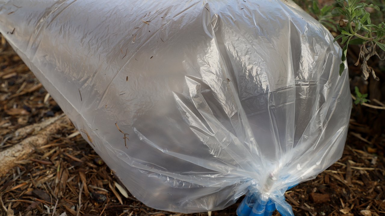 Transpiration Demo | NASA Jet Propulsion Laboratory (JPL)