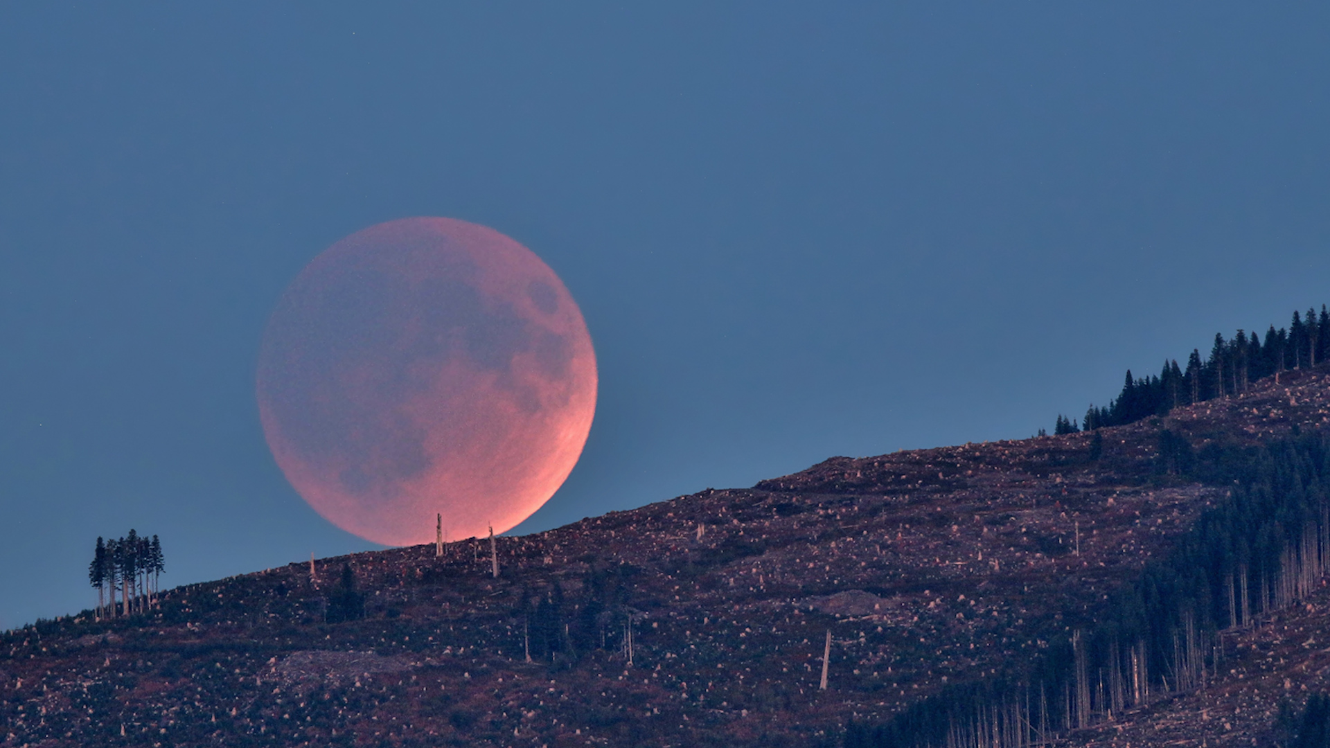 Photo: NASA Ciel d'août 2026 : éclipse solaire totale, Perséides et événements célestes